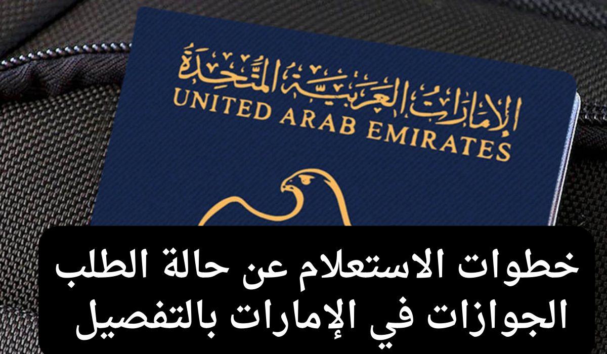 الاستعلام عن حالة طلبات جواز السفر